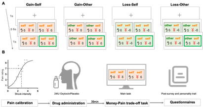 实验任务及流程
